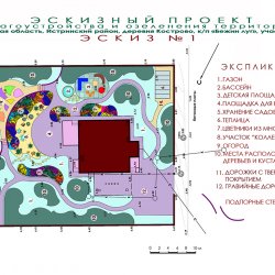 Проект ландшафтного дизайна дачного участка - ЭСКИЗ 1